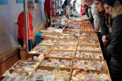 IMG-20230403-WA0030