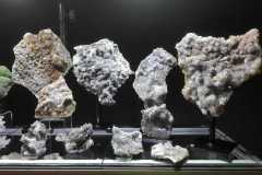 IMG-20230403-WA0065